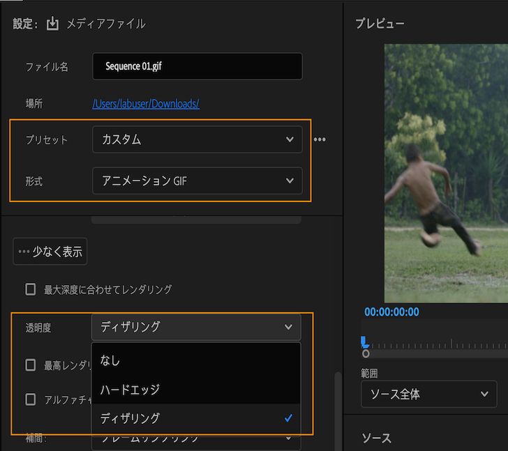 透明度のある GIF の書き出しを有効にするオプション