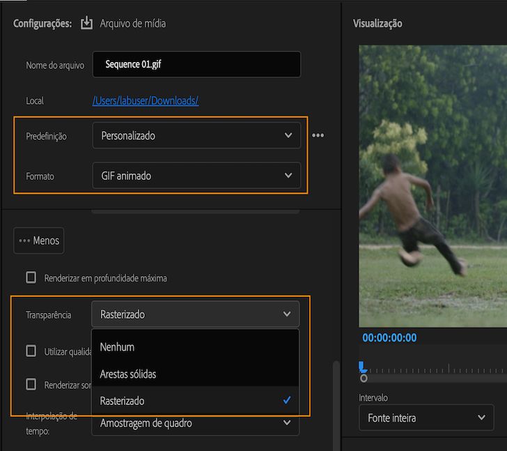 Opções para ativar a exportação de GIFs com transparência