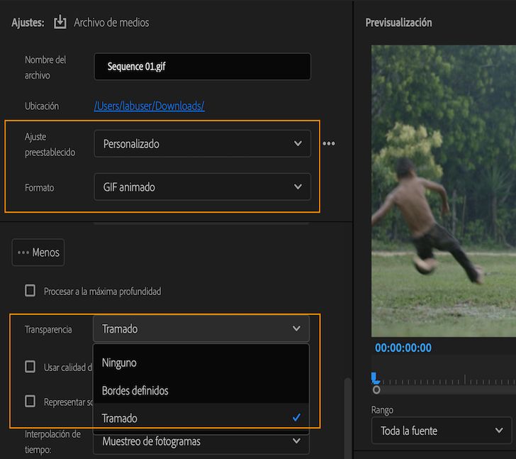 Opciones para habilitar la exportación de GIF con transparencia
