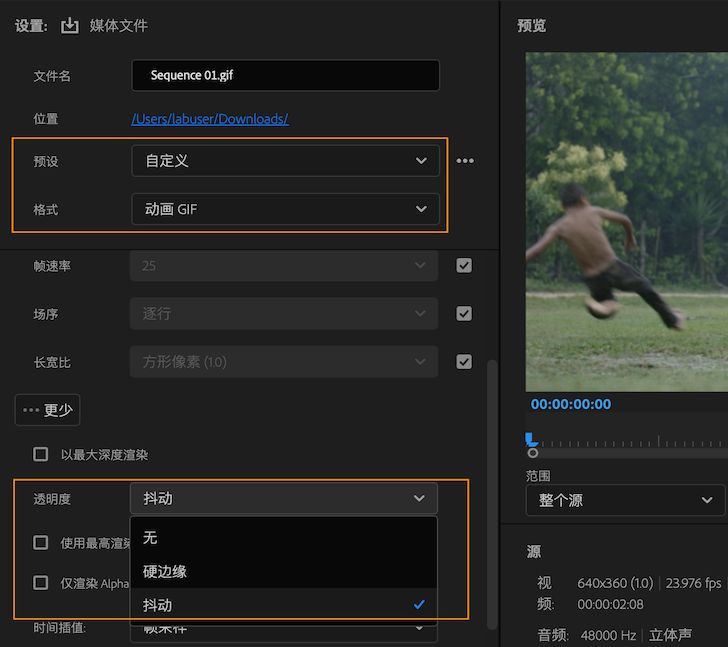 用于启用导出带有透明度的 GIF 的选项