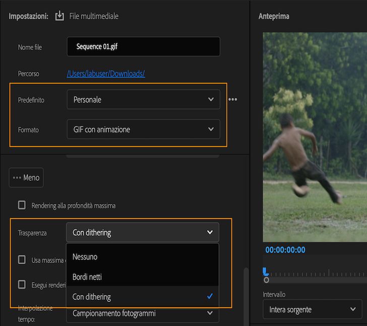 Opzioni per abilitare l’esportazione di GIF con trasparenza