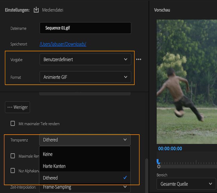Optionen zum Exportieren von GIFs mit Transparenz