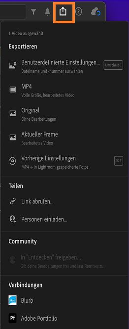 Exportoptionen zum Exportieren eines Videos in Lightroom.