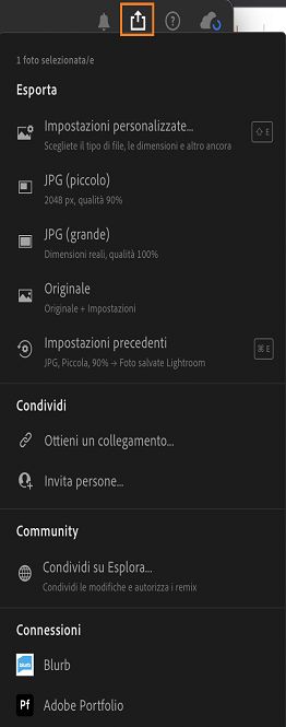 Opzioni di esportazione per esportare un video in Lightroom.