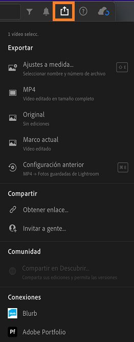 Opciones de exportación para exportar un vídeo en Lightroom.