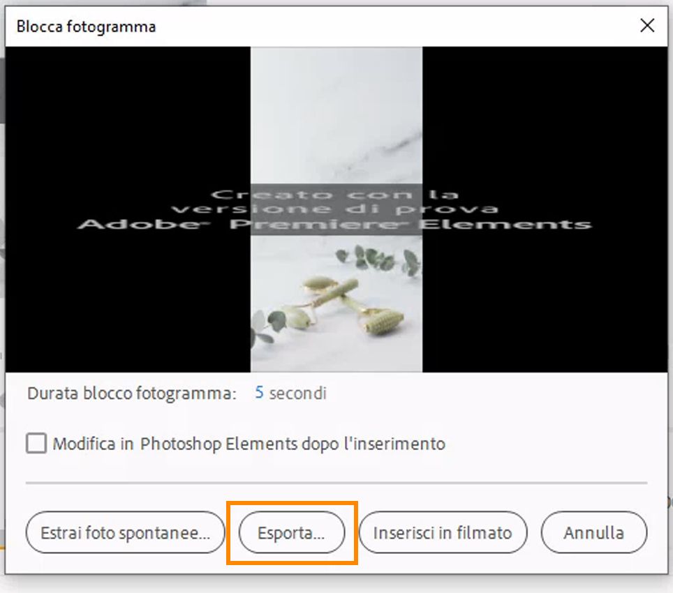 Esportare Blocca fotogramma