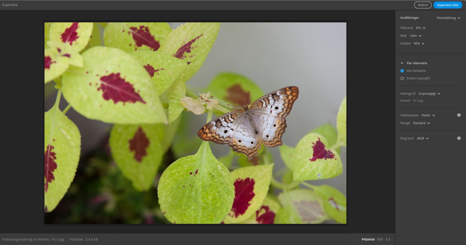 Exportinställningar i Lightroom för datorer