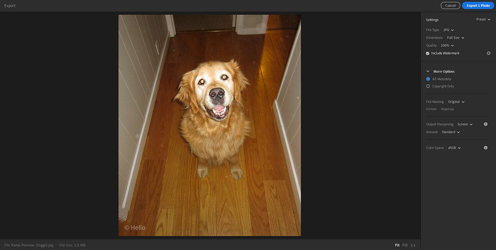 Ustawienia eksportu w programie Lightroom na komputery