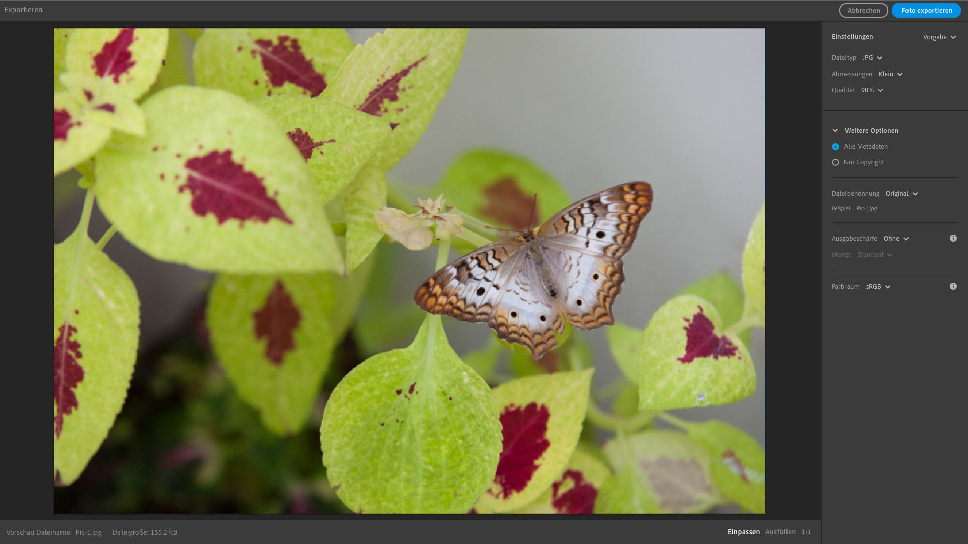 Exporteinstellungen in Lightroom Desktop