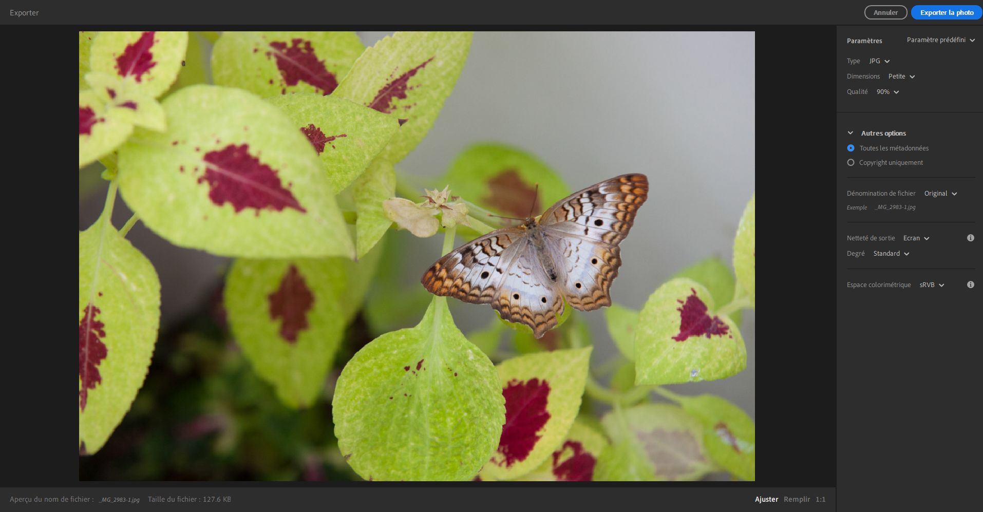 Paramètres d’exportation dans Lightroom pour poste de travail