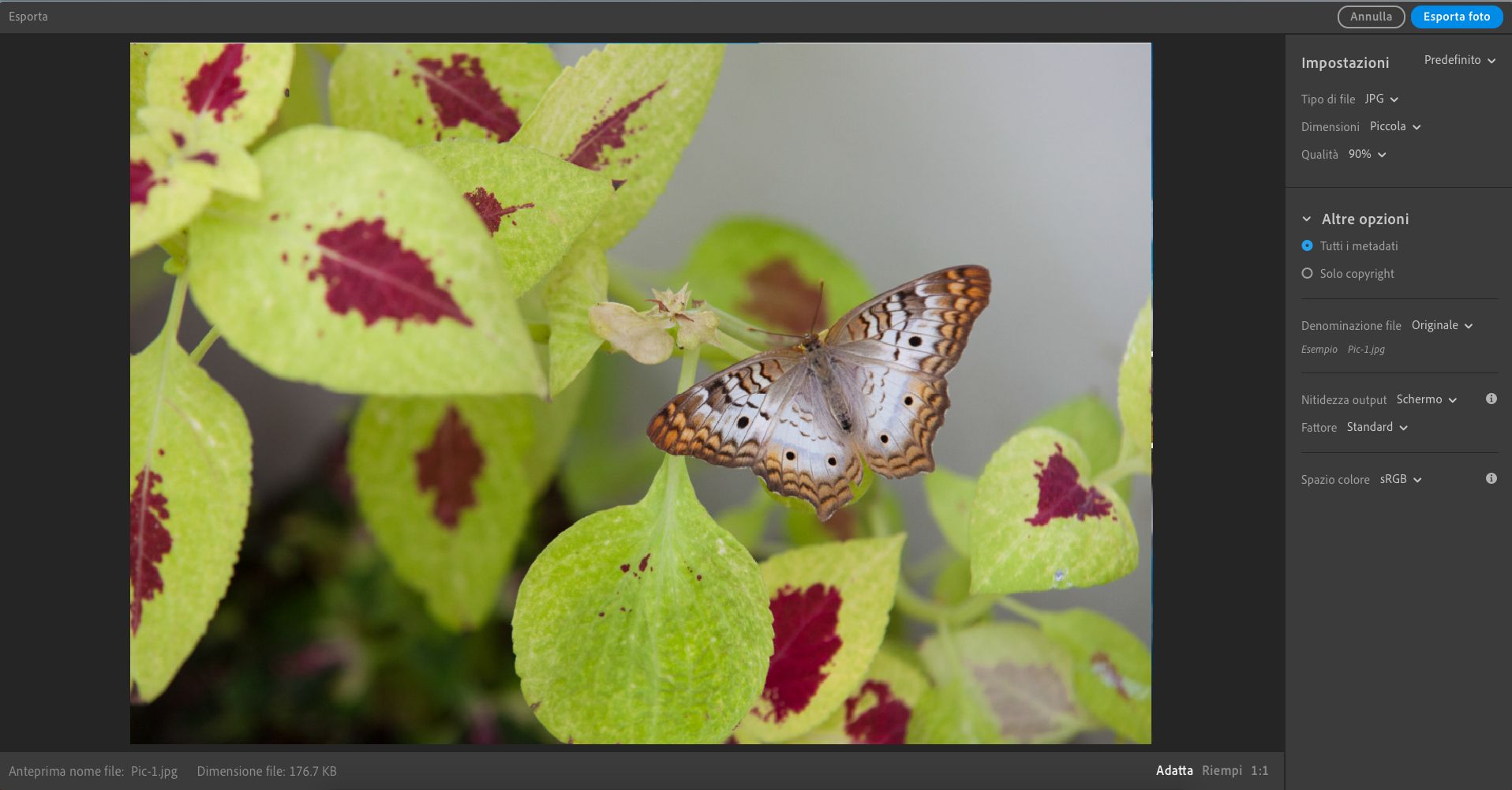 Esportare le impostazioni in Lightroom desktop