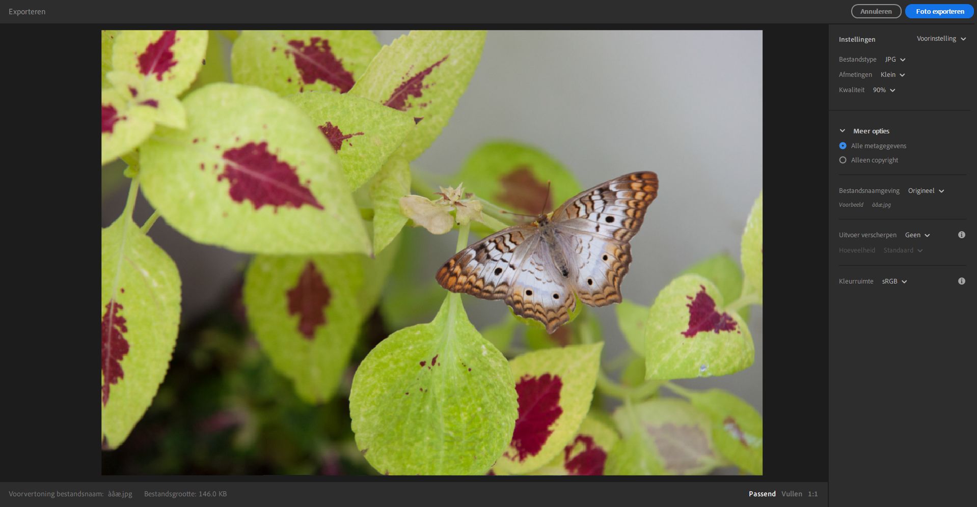 Exportinstellingen in Lightroom desktop