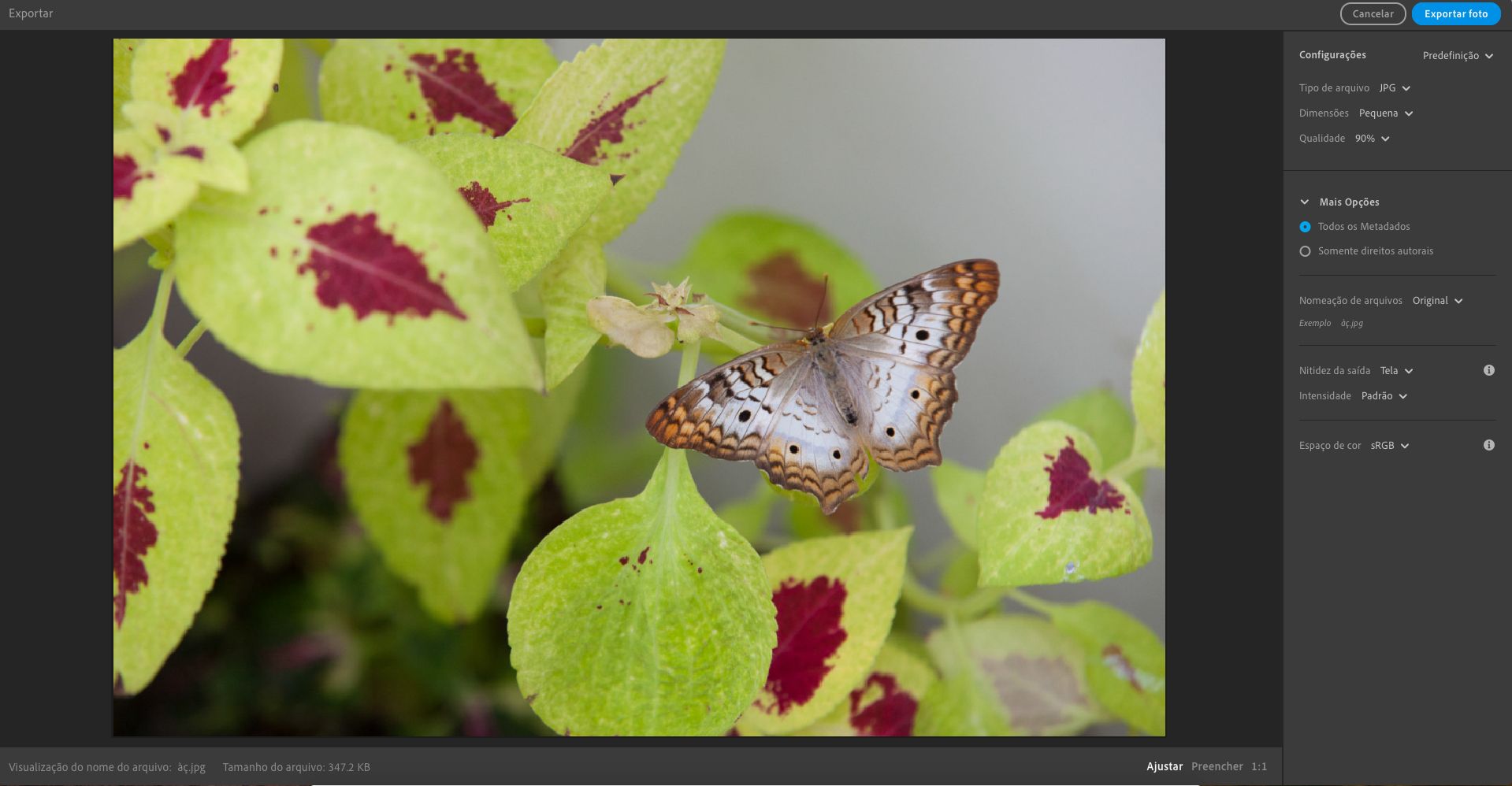 Configurações de exportação no Lightroom desktop