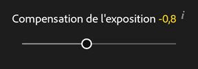Curseur de compensation de l’exposition dans Adobe Photoshop Lightroom CC pour mobile sur Android