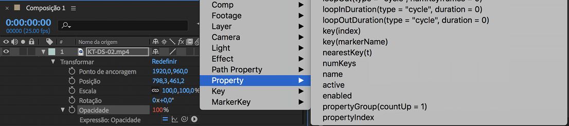 Menu de idiomas da expressão