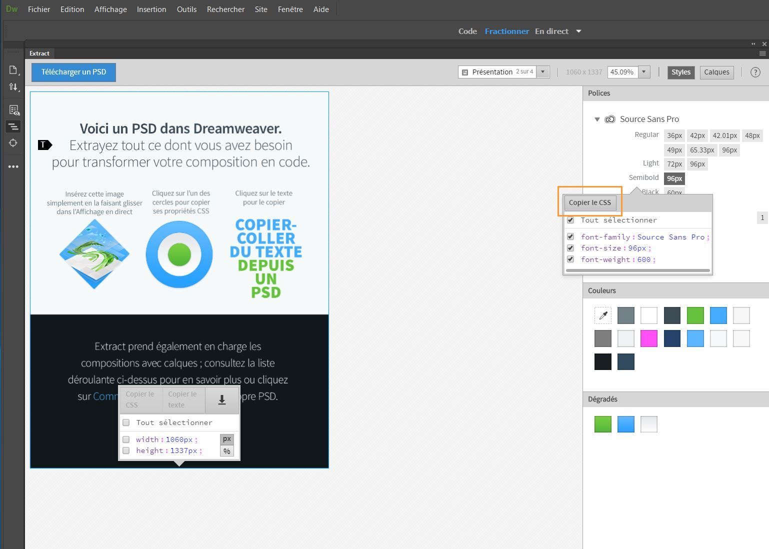 Extraction de polices