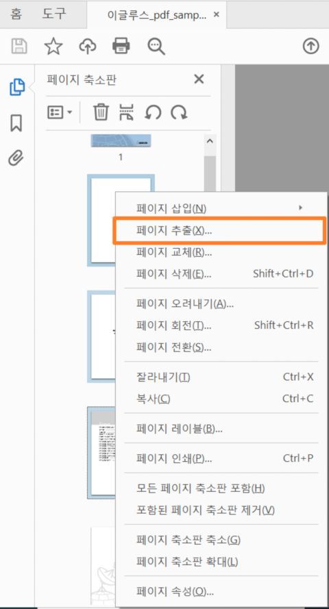 비순차적인 페이지 추출