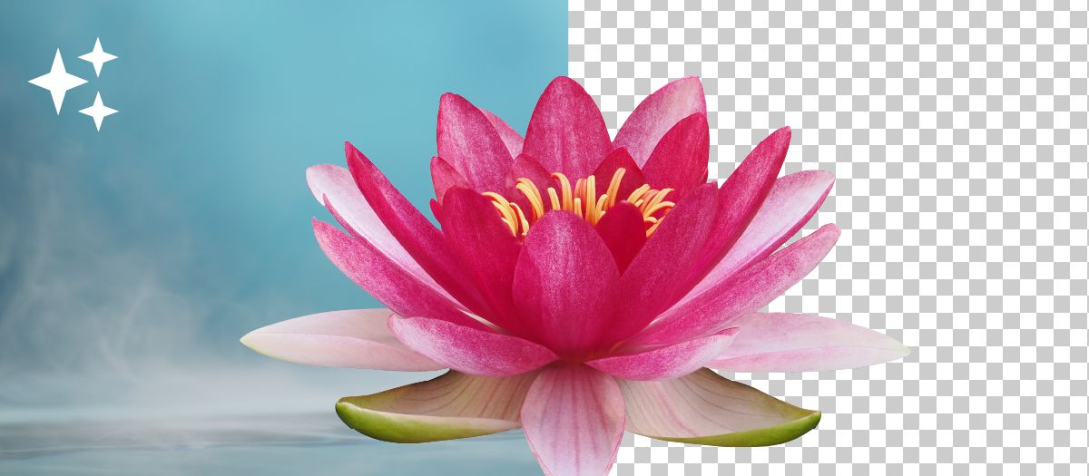 Photoshop web 版でクイックアクションを使用する