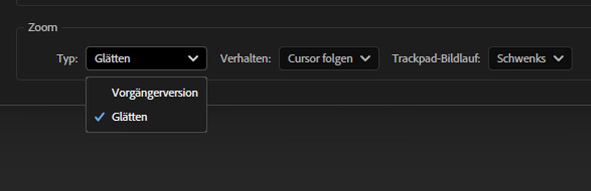 Das Dialogfeld „Voreinstellungen“ ist geöffnet. In der Registerkarte „Vorschau“ im Abschnitt „Zoom“ ist die Option „Glatt“ für die Einstellung „Typ“ hervorgehoben.