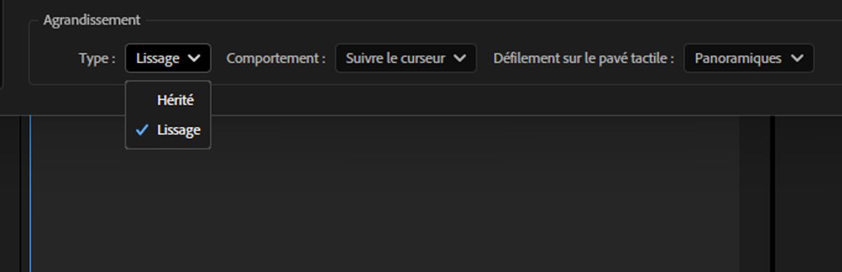 La boîte de dialogue Préférences est ouverte. Dans la section Zoom de l’onglet Prévisualisation, l’option Fluide est mise en surbrillance pour le paramètre Type.