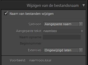 Wijzigen van de bestandsnaam
