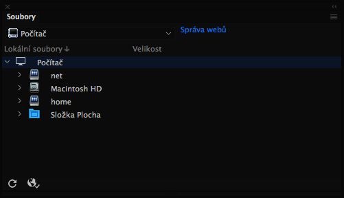 Vzhled panelu Soubory, pokud není v aplikaci Dreamweaver definován žádný web