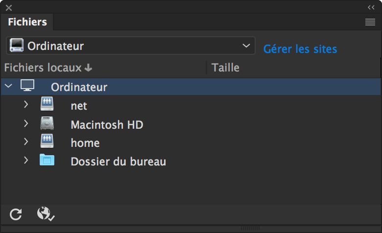 Aspect du panneau Fichiers lorsqu’aucun site n’est défini dans Dreamweaver