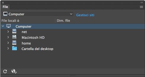Aspetto del pannello File quando in Dreamweaver non è definito nessun sito