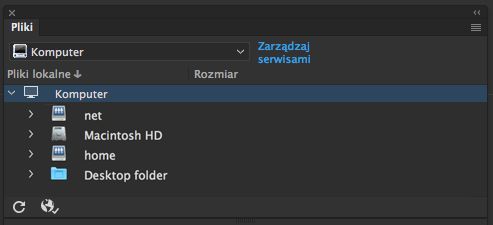 Wygląd panelu Pliki, gdy w programie Dreamweaver nie zdefiniowano serwisu