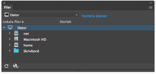 Så här ser filpanelen ut om ingen plats har definierats i Dreamweaver