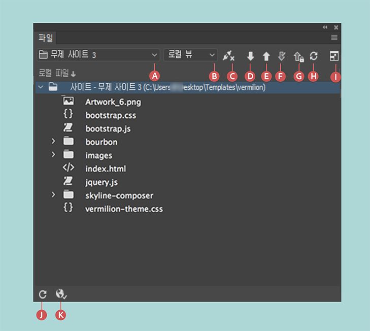 사이트, 원격 서버에 대한 연결, 체크인 및 체크아웃이 활성화된 경우의 파일 패널
