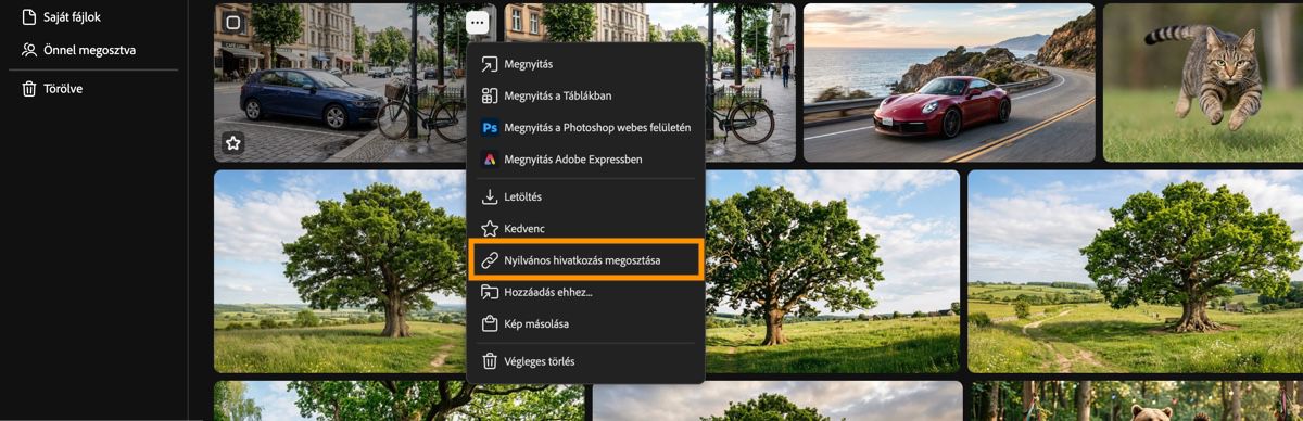 A Firefly generálási előzmények fül megjeleníti az eszköz helyi menüjét, kiemelve a nyilvános hivatkozás megosztása opciót.