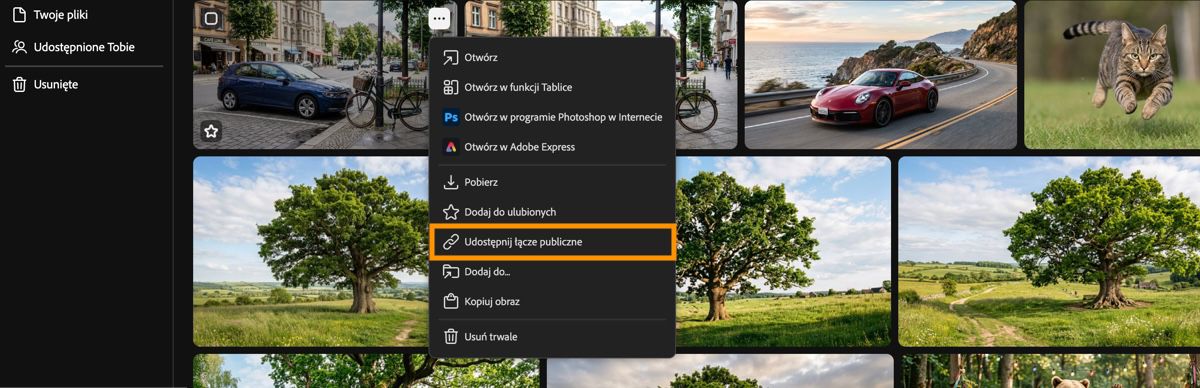 Karta Historia generacji Firefly wyświetla menu kontekstowe zasobu z podświetloną opcją Udostępnij łącze publiczne.