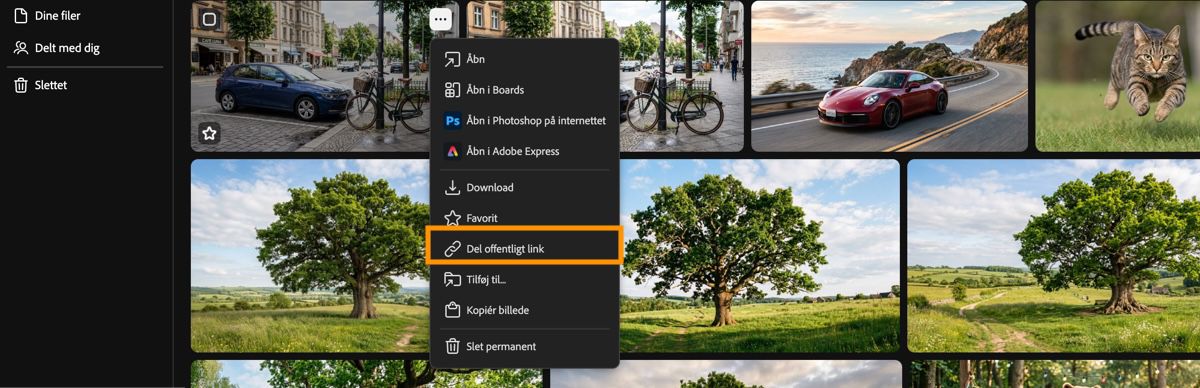 Fanen Firefly-genereringshistorik viser et aktivs kontekstmenu med fremhævning over indstillingen Del offentligt link.