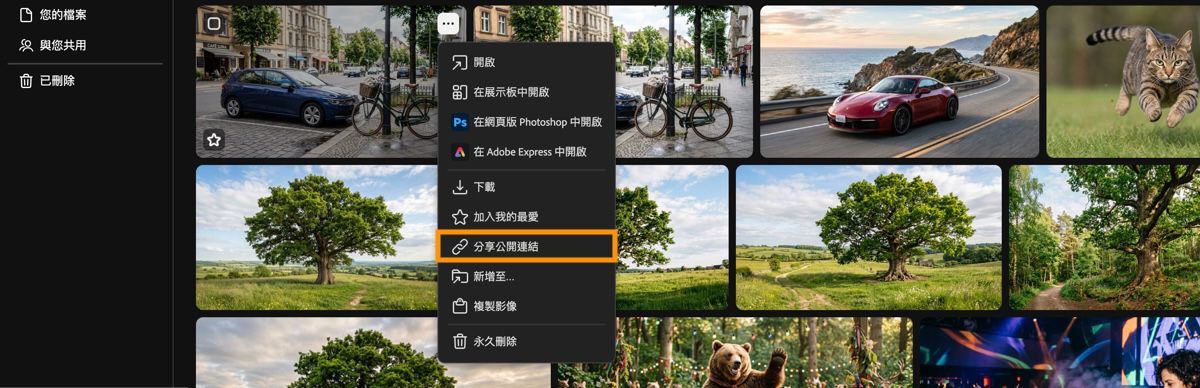 Firefly「產生歷史記錄」標籤顯示資產的內容選單，並強調顯示「共用公開連結」選項。