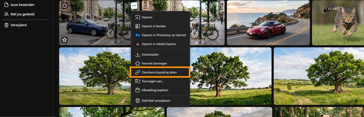 Het tabblad Firefly Generatiehistorie toont het contextmenu van een asset met een markering over de optie Openbare koppeling delen.