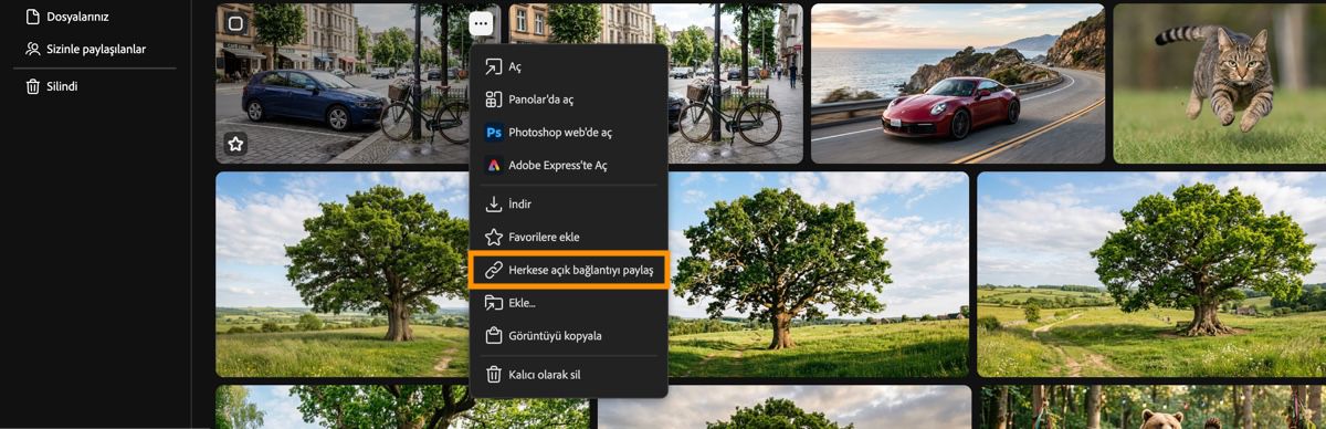 Firefly Oluşturma geçmişi sekmesi, Herkese açık bağlantı paylaş seçeneği vurgulanmış şekilde varlığın içerik menüsünü görüntüler.