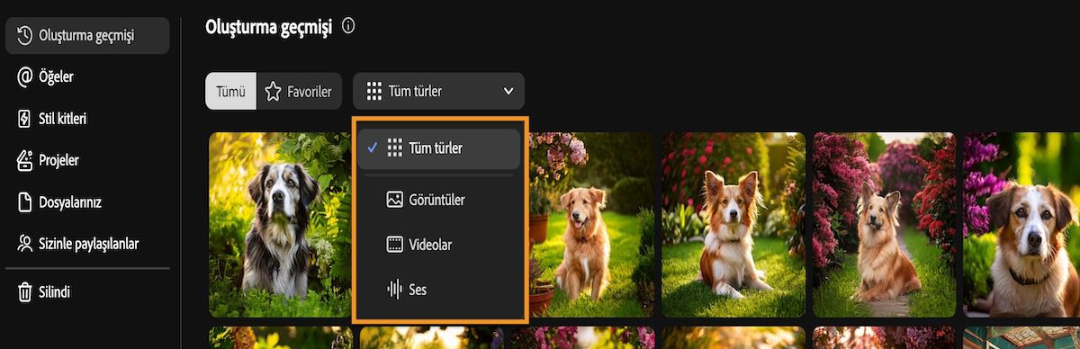 Firefly'ın Oluşturma geçmişi sekmesi, oluşturma türlerini görüntü, video, ses veya tümü olarak filtrelemek için bir açılır menü içerir.