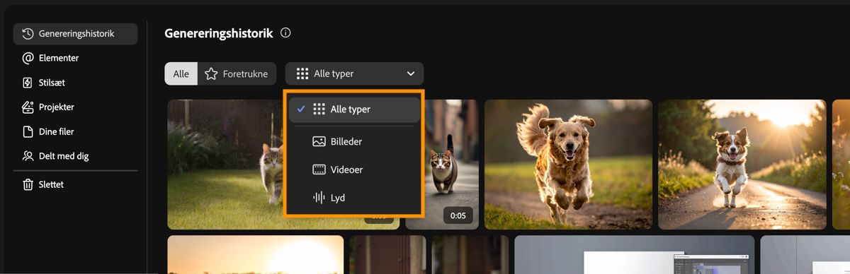 Firefly-fanen Genereringshistorik indeholder en rullemenu til at filtrere genereringstyper efter billede, video, lyd eller alle.