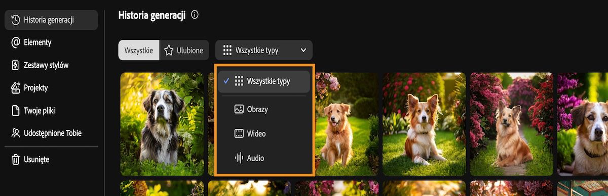 Karta Historia generacji w programie Firefly zawiera menu rozwijane, które pozwala filtrować typy generowania według obrazów, plików wideo, plików audio lub wszystkich.