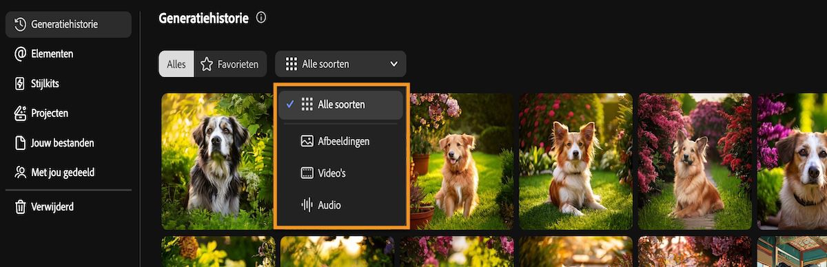 Het tabblad Generatiehistorie van Firefly bevat een vervolgkeuzemenu om generatietypen te filteren op afbeelding, video, audio of alles.