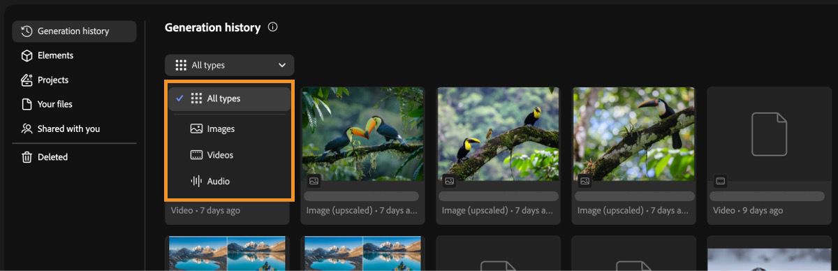 Firefly's Generation history tab includes a dropdown menu to filter generation types by image, video, audio, or all.