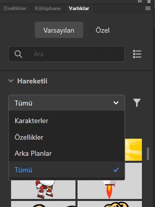 Varlıkları Filtreleme
