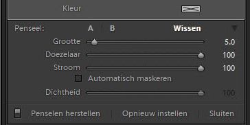 Instellingen voor filterpenseel in Lightroom