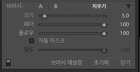 Lightroom Classic CC의 브러시 설정