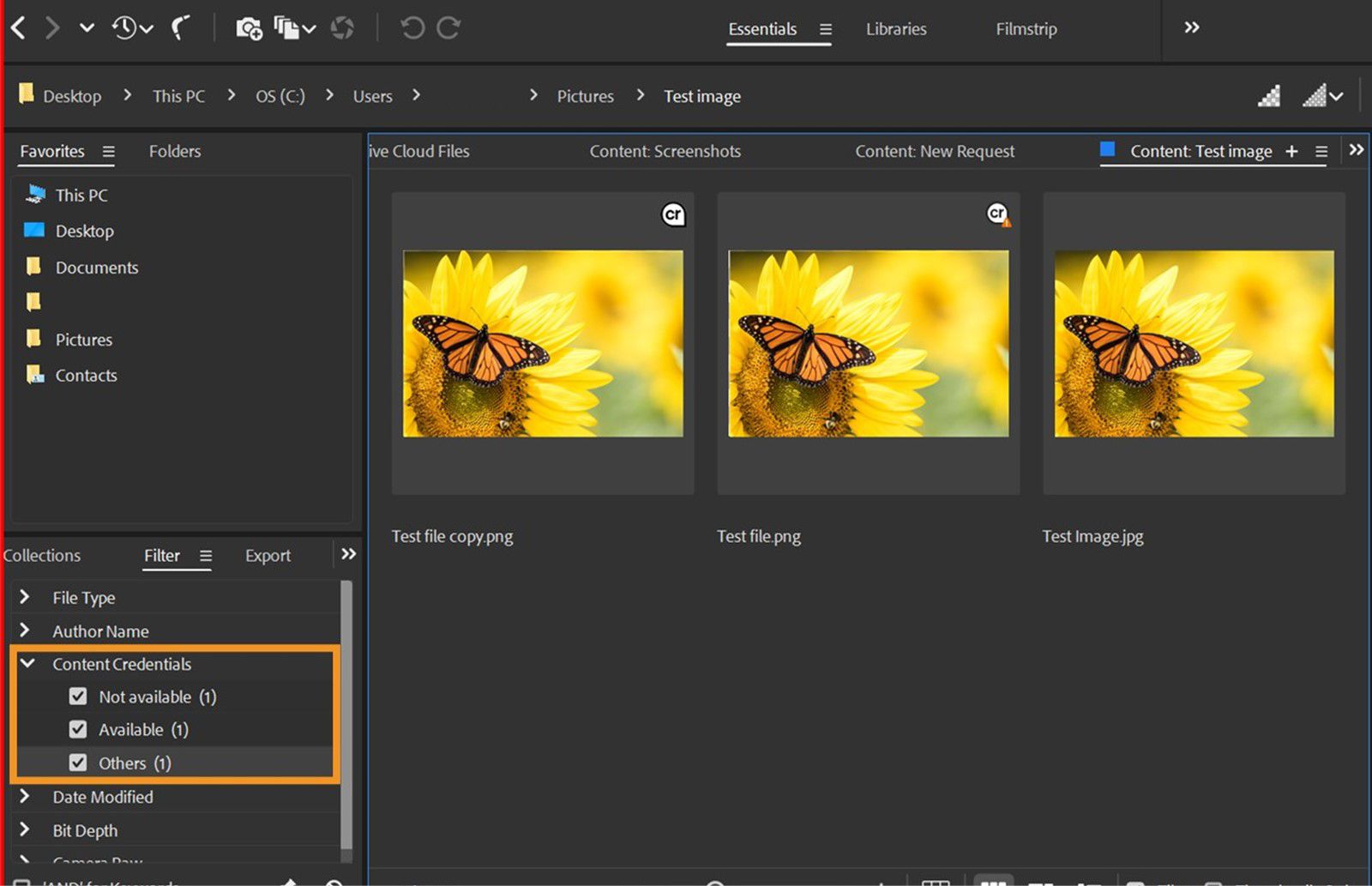 Content panel in Bridge is opened displaying the asset tagged with Content Credentials.