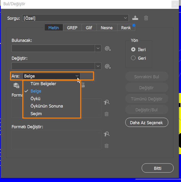 Arama seçenekleri  (Bul/Değiştir iletişim kutusunda)