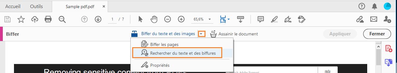 Recherche de texte et de biffures