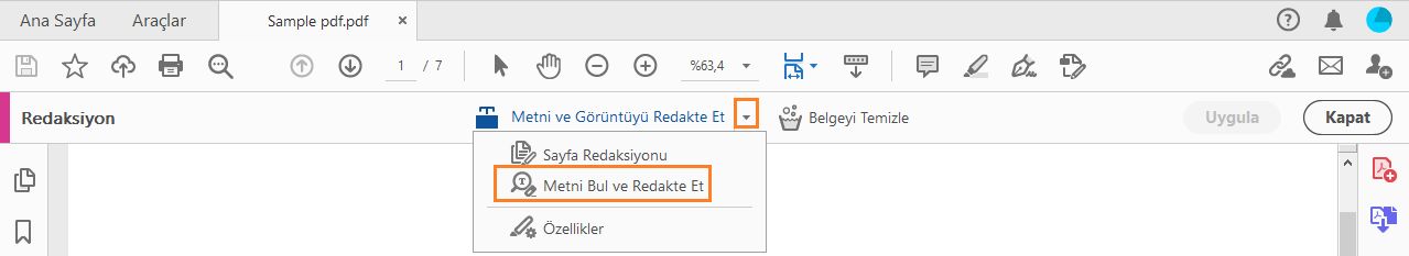 Metni bul ve redakte et