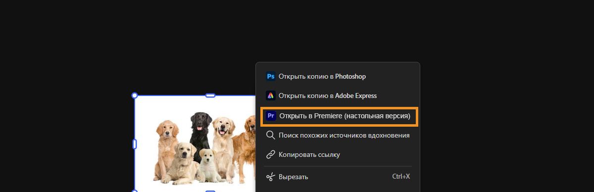 В Firefly Boards открыто контекстное меню для выбранного файла, при этом выделена опция «Открыть в Premiere на настольном ПК».